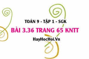 Bài 3.36 trang 65 Toán 9 tập 1 Kết nối tri thức